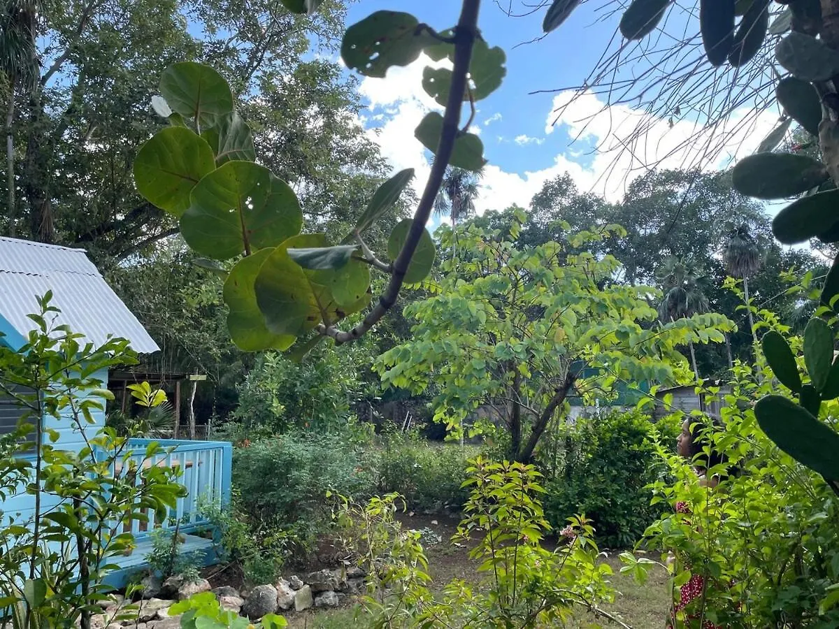 Casa de Férias Garden House Negril - Ocean & Garden View Getaway Vila